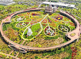 J9集团|国际站官网